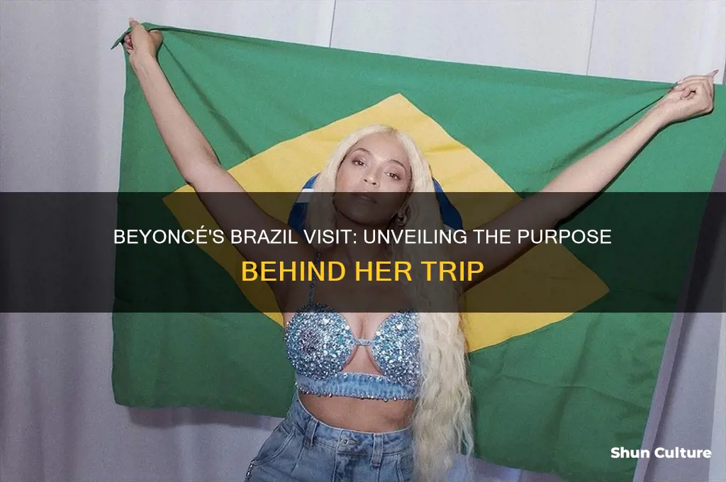 why is beyonce in brazil