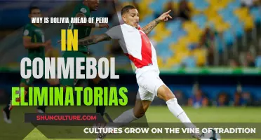 Bolivia's Edge: The CONMEBOL Eliminatorias Mystery