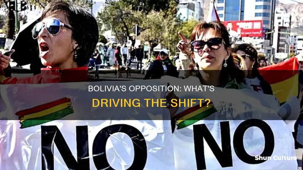 why is bolivia backing opposition