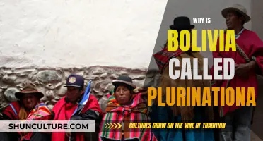 Bolivia's Plurinational Identity: A Rich Cultural Heritage