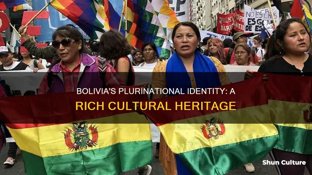 why is bolivia called plurinational