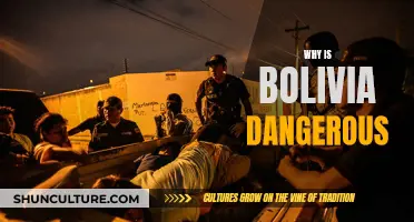 Bolivia's Danger: Exploring the Country's Dark Side