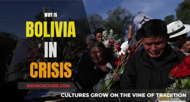 Bolivia's Turmoil: Understanding the Country's Ongoing Crisis