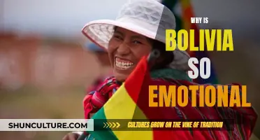 Bolivia's Emotional Culture: Understanding the Country's Passionate Nature