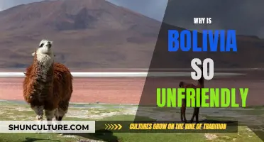 Bolivia's Unfriendly Reputation: Why So?