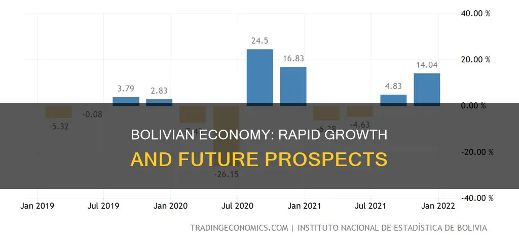 why is bolivia the fastest growing economy