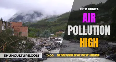 Bolivia's Air Pollution Crisis: Understanding the Causes