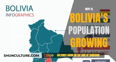 Exploring Bolivia's Population Boom: Factors and Implications