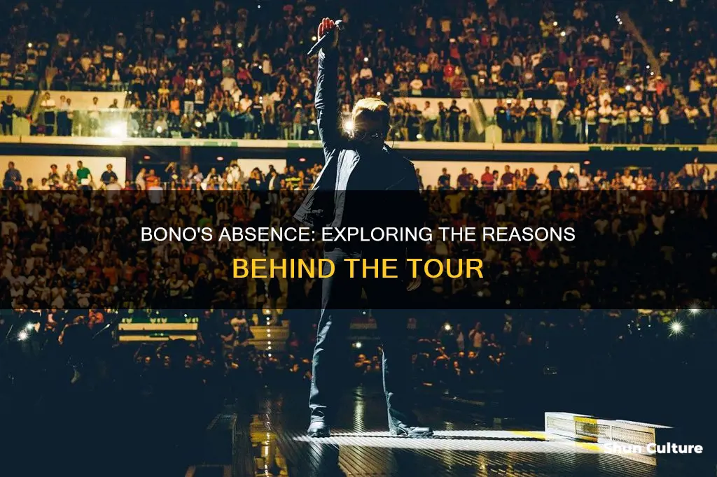 why is bono not in austria