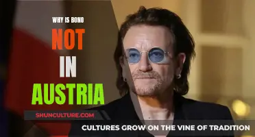 Bono's Irish Eyes: Why He's Not in Austria