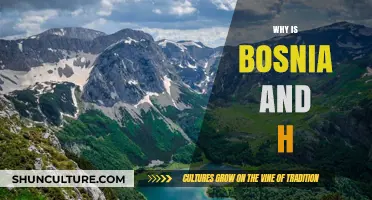 Why Bosnia and Herzegovina's History and Culture Matter Today