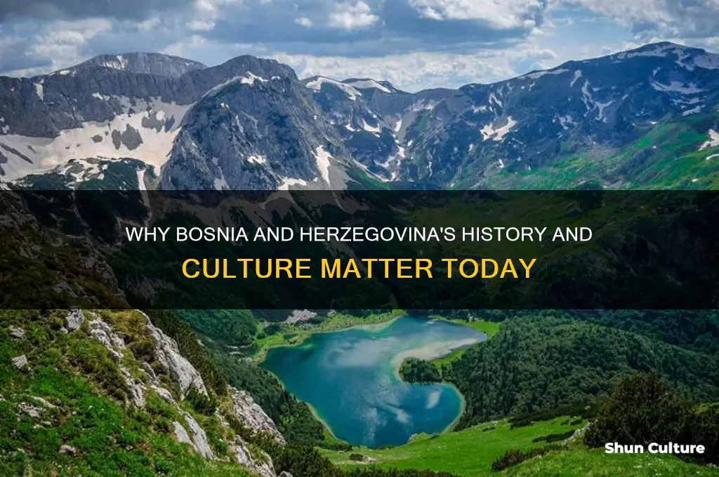 why is bosnia and h