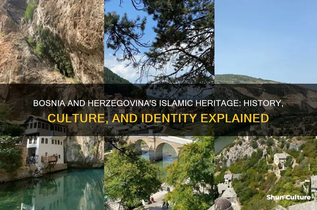 why is bosnia and herzegovina islamic