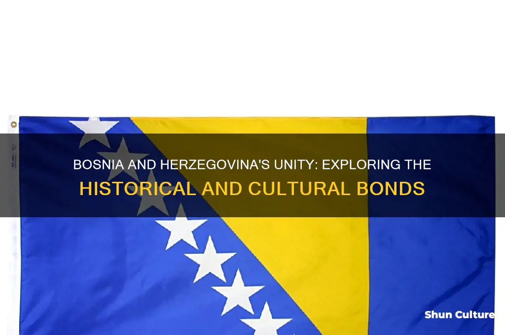why is bosnia and herzegovina together
