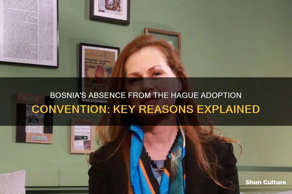 why is bosnia not apart of the hague adoption convention