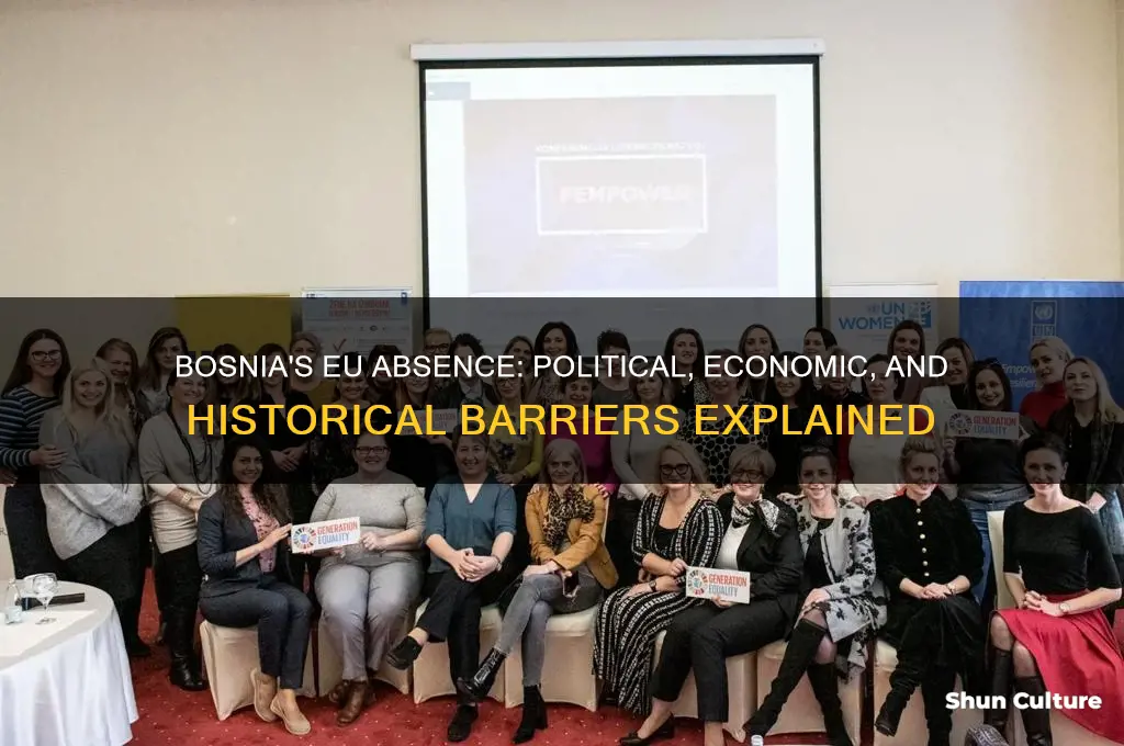 why is bosnia not in the eu
