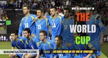 Bosnia's World Cup Absence: Unraveling the Reasons Behind the Exclusion