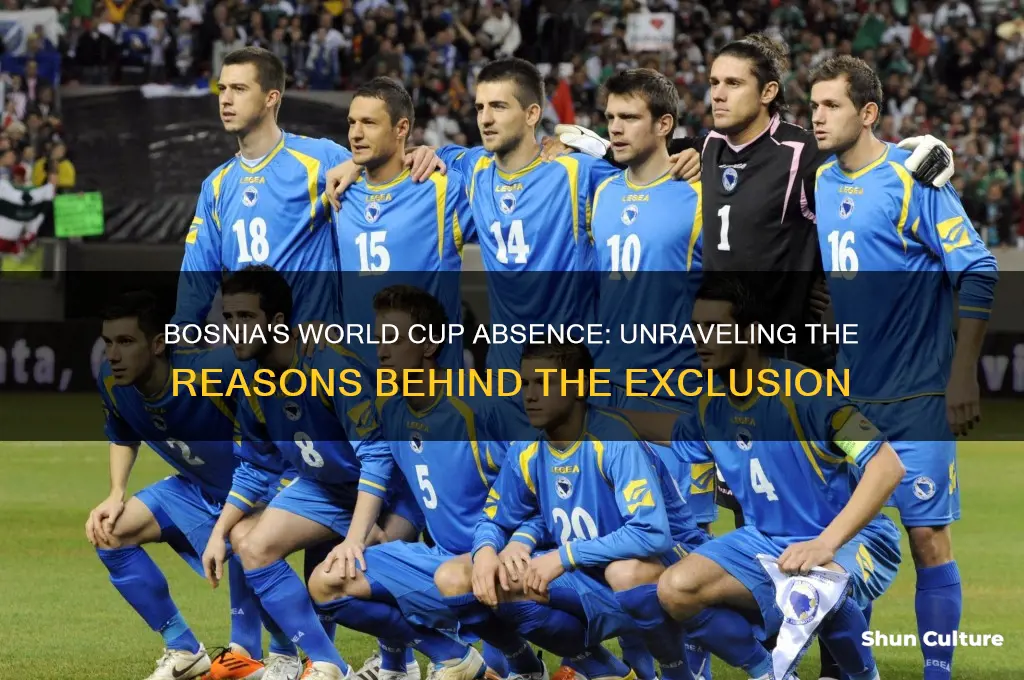 why is bosnia not in the world cup