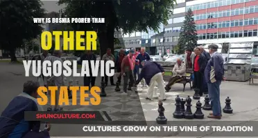 Bosnia's Economic Struggles: Unraveling Post-Yugoslav Disparities and Challenges