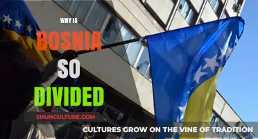 Bosnia's Deep Divisions: Unraveling the Complex Historical and Cultural Roots