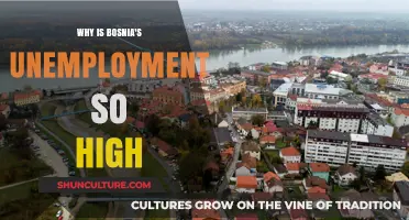 Bosnia's Unemployment Crisis: Causes, Consequences, and Potential Solutions