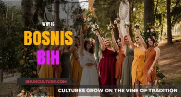 Exploring Bosnia and Herzegovina: Unveiling the Charm of BiH's Rich Culture