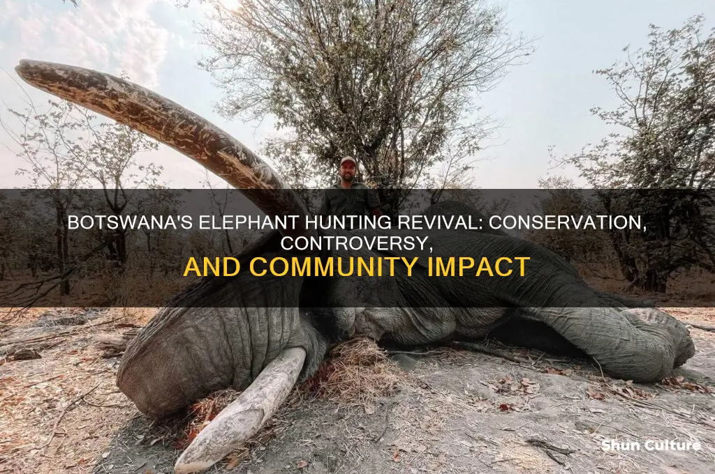 why is botswana allowing elephant hunting