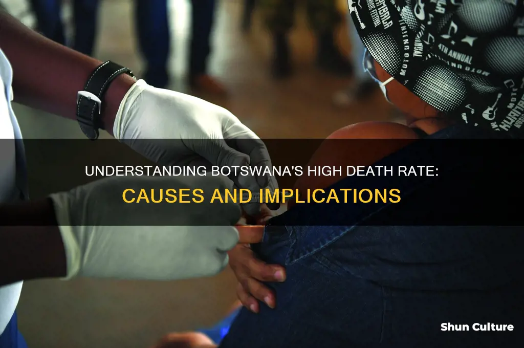 why is botswana death rate so high