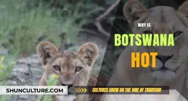 Exploring Botswana's Heat: Climate, Geography, and Seasonal Factors Explained