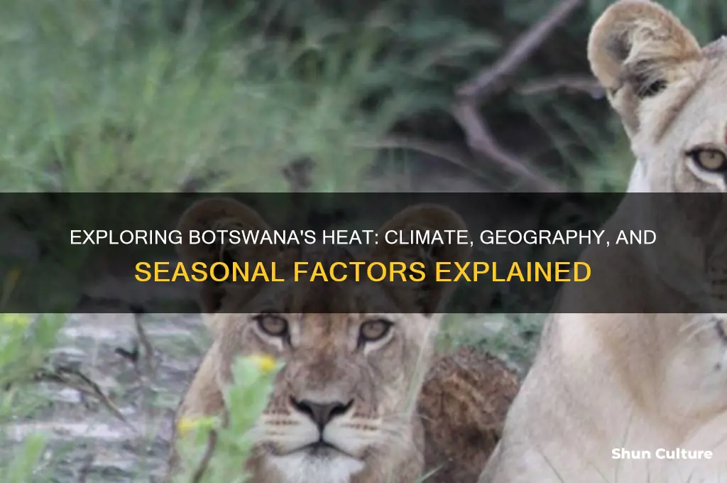 why is botswana hot