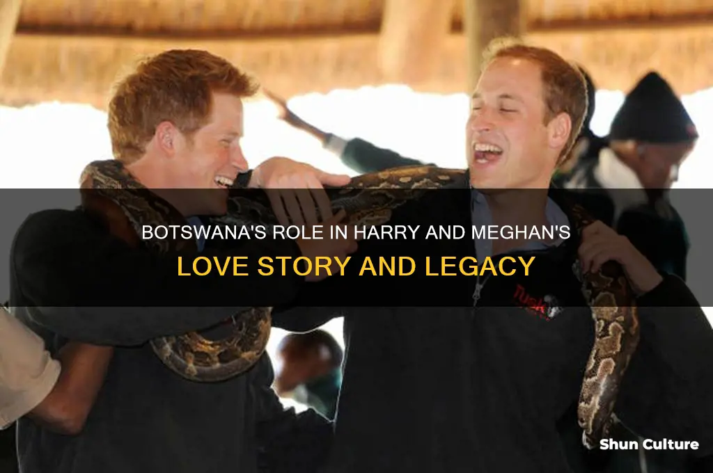 why is botswana important to harry and meghan