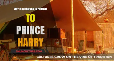 Prince Harry's Deep Connection: Botswana's Impact on His Life and Legacy