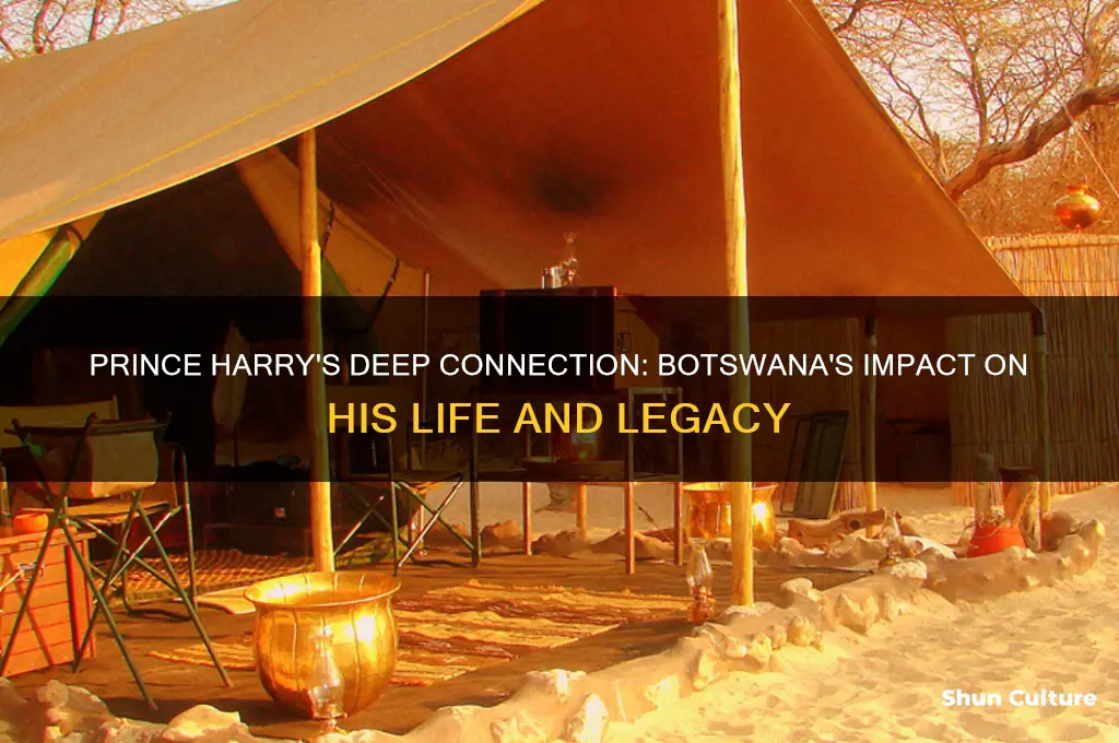 why is botswana important to prince harry