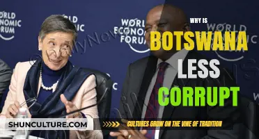 Botswana's Anti-Corruption Success: Unraveling the Secrets of Its Integrity