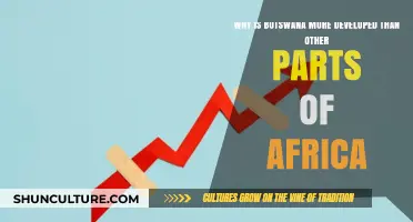 Botswana's Success: Unraveling Its Development Edge Over Other African Nations