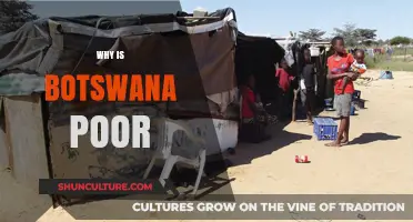 Understanding Botswana's Economic Struggles: Causes and Potential Solutions