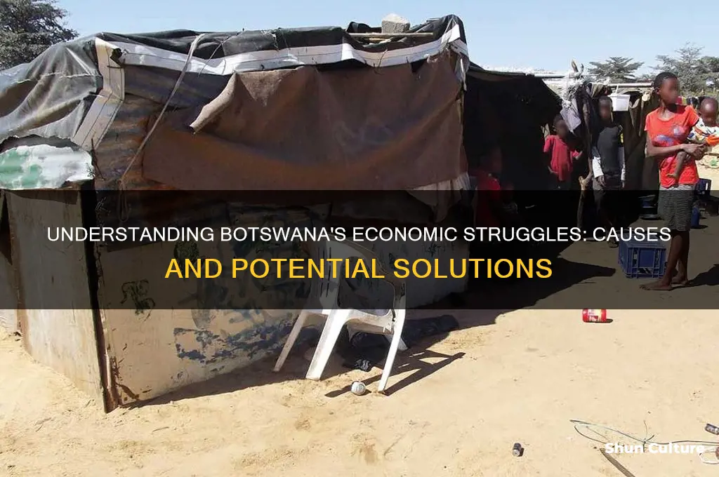 why is botswana poor