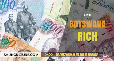 Botswana's Wealth Unveiled: A Journey to Prosperity and Stability