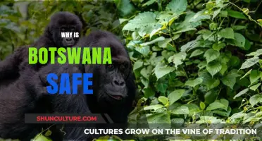Botswana's Safety Secrets: Stability, Low Crime, and Strong Governance Explained