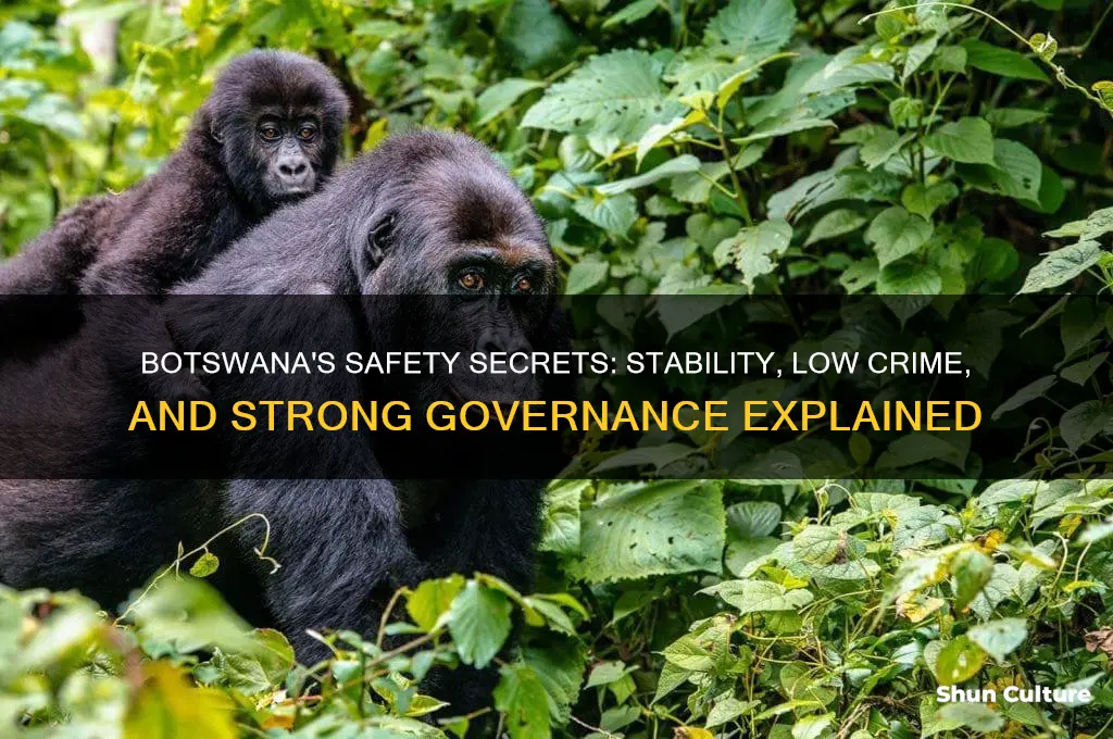 why is botswana safe