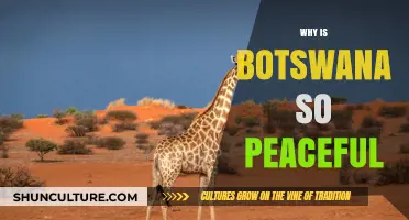 Botswana's Peaceful Prosperity: Unraveling the Secrets of a Stable Nation