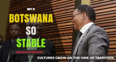 Botswana's Stability: A Model of Good Governance and Resource Management
