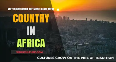 Botswana's Rise: Unlocking Africa's Most Remarkable Success Story