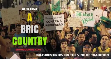 Brazil's BRIC Status: Economic Powerhouse and Global Influence Explained