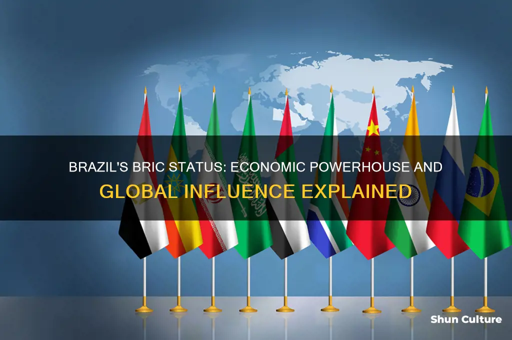 why is brazil a bric country