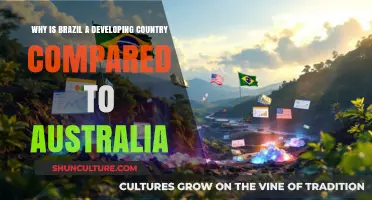 Brazil vs Australia: The Development Divide