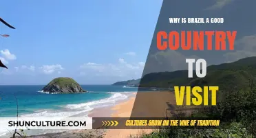 Discover Brazil's Vibrant Culture, Stunning Beaches, and Rich History