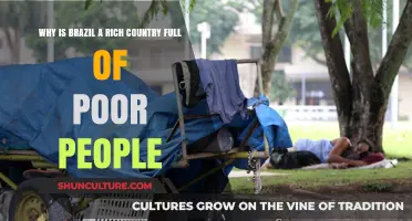 Brazil's Paradox: Wealthy Nation, Struggling Population – Unraveling the Divide