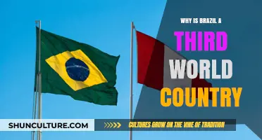 Brazil's Third World Status: Unraveling Economic and Social Challenges