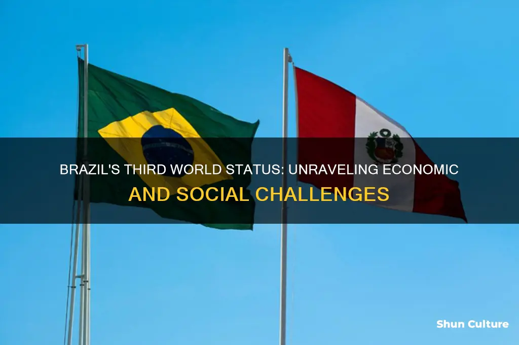 why is brazil a third world country